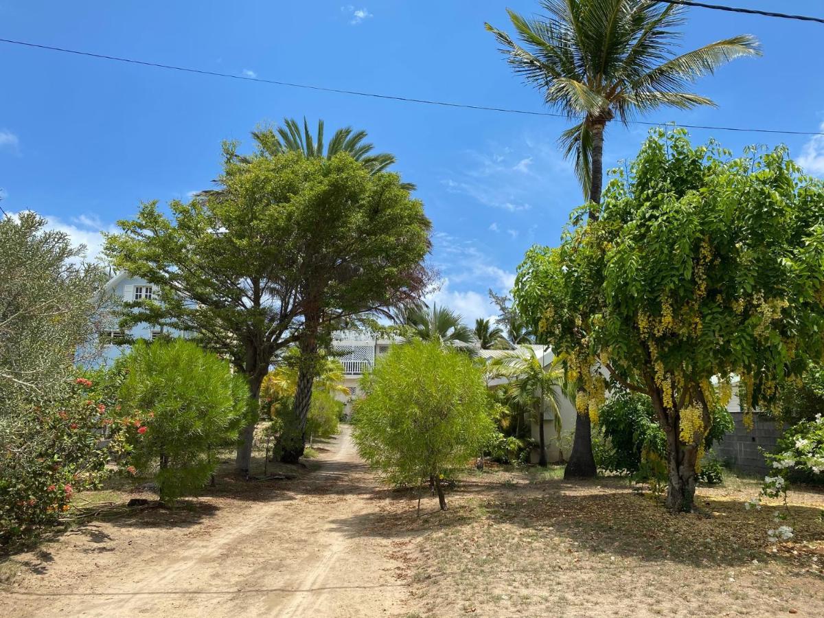 Villa&Bungalow 'Coco des sables' les pieds dans l'eau La Saline-Les-Bains Exterior foto